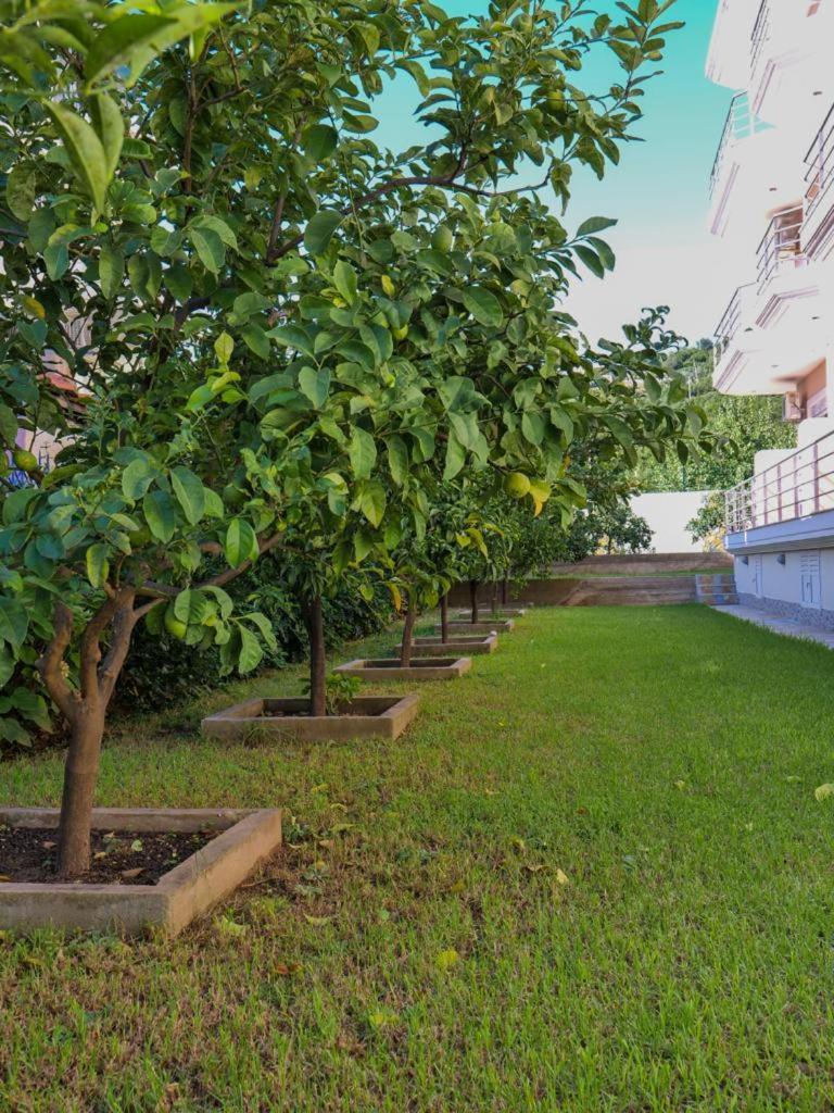 Himara Royal Hotel Εξωτερικό φωτογραφία
